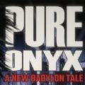 PureOnyx2023版