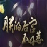 朕的后宫不好惹鲜花版