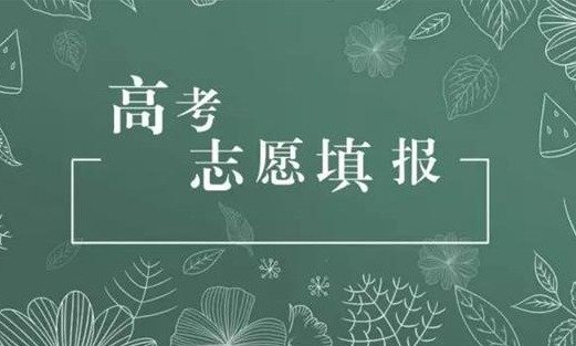 填报志愿软件合集